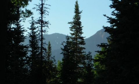 4 bed 5 bath Home $715,900