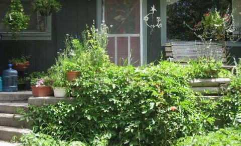 3 bed 2 bath Home $75,000