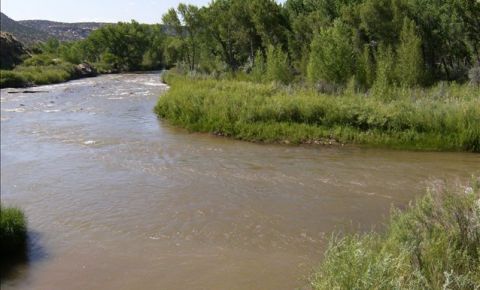 Ranch / Farm $43,500