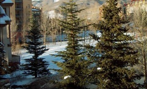 2 bed 2 bath Condo $39,000