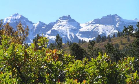 Ranch / Farm $459,000