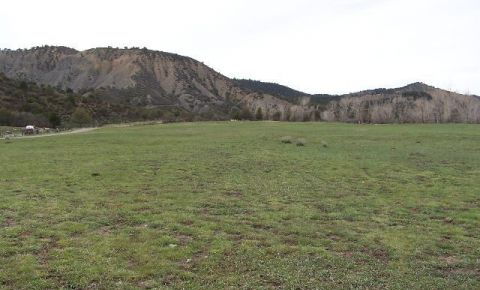 Ranch / Farm $550,000