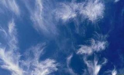 4 bed 3 bath Home $1,499,000