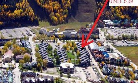 1 bed 1 bath Condo $299,900