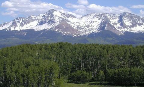 Ranch / Farm $24,000,000