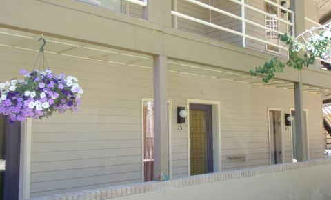 1 bed 1 bath Condo $225,000