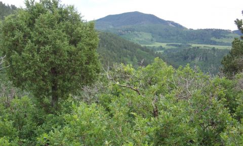 Ranch / Farm $159,000