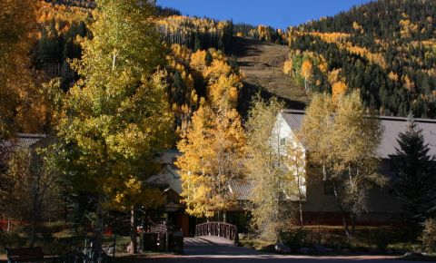 2 bed 2 bath Condo $525,000