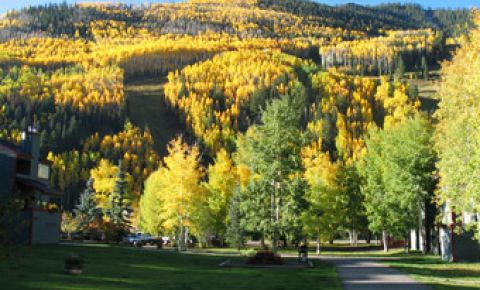 1 bed 1 bath Condo $224,900