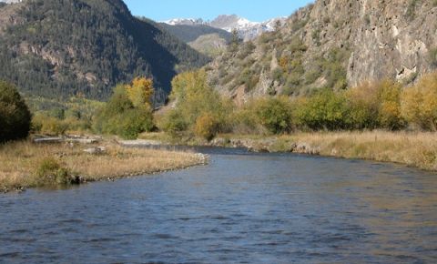 5 bed 6 bath Home $5,995,000