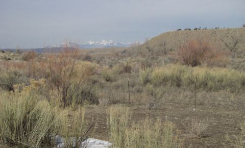 Ranch / Farm $1,865,850