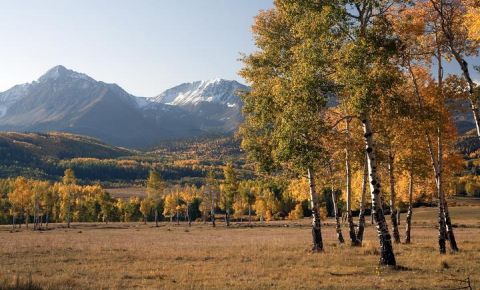 Ranch / Farm $785,000