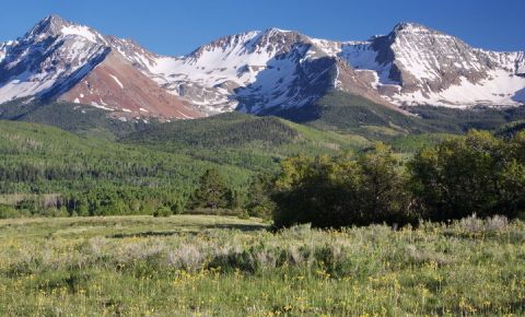 Ranch / Farm $895,000