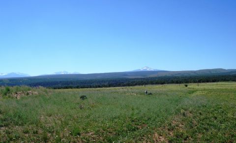 Ranch / Farm $199,000