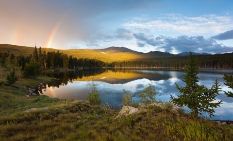 25 bed 20 bath Home $15,750,000