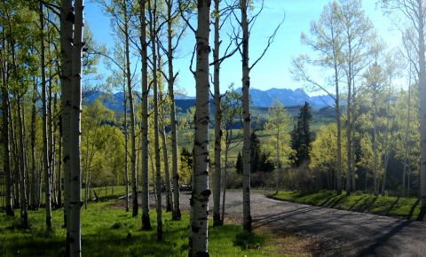 Ranch / Farm $1,300,000