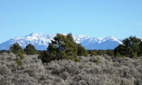 Ranch / Farm $62,500