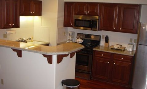 1 bed 1 bath Condo $355,000