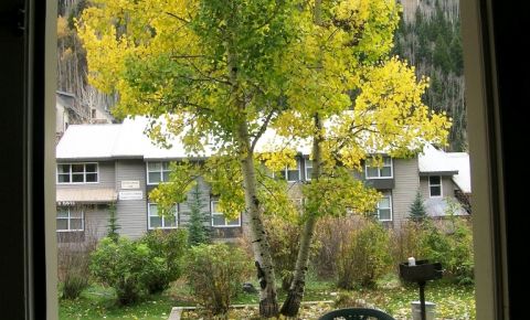 1 bed 1 bath Condo $250,500