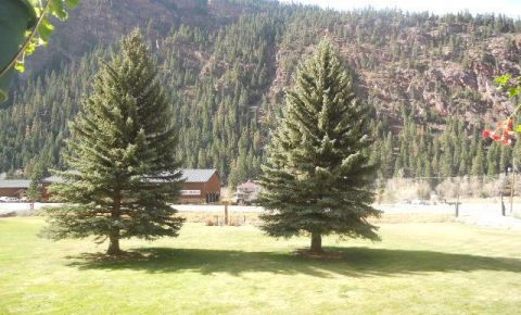 2 bed 1 bath Condo $145,900