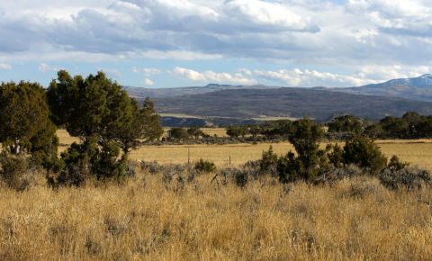 Ranch / Farm $1,450,000