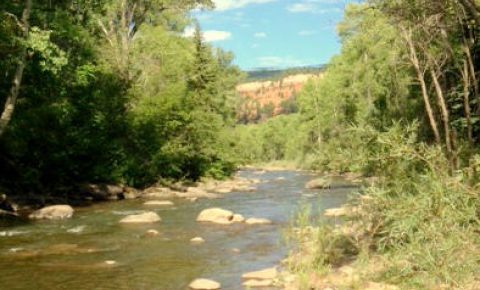 Ranch / Farm $526,000