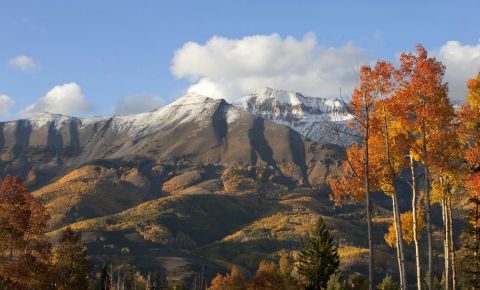 1 bed 7 bath Condo $875,000