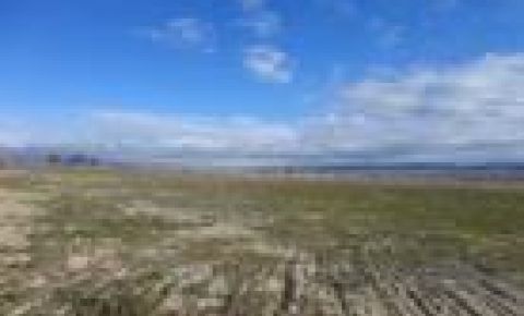 Ranch / Farm $124,900