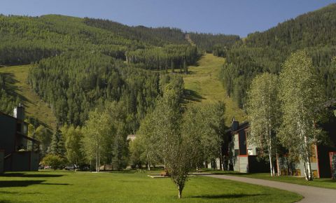 2 bed 2 bath Condo $525,000