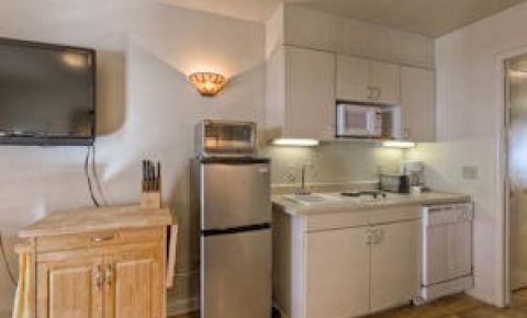 1 bed 1 bath Condo $331,000