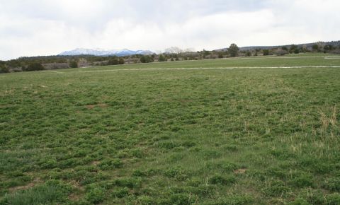 Ranch / Farm $450,000