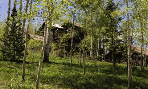 5 bed 3 bath Home $1,199,000