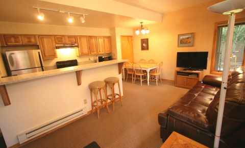 1 bed 1 bath Condo $299,000