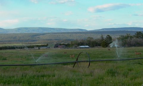 Ranch / Farm $162,000