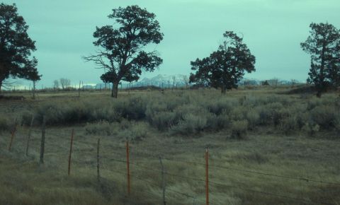 Ranch / Farm $57,000