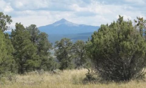 2 bed 2 bath Home $149,000