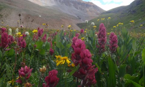 1 bed 2 bath Home $250,000