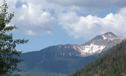 1 bed 1 bath Home $209,000