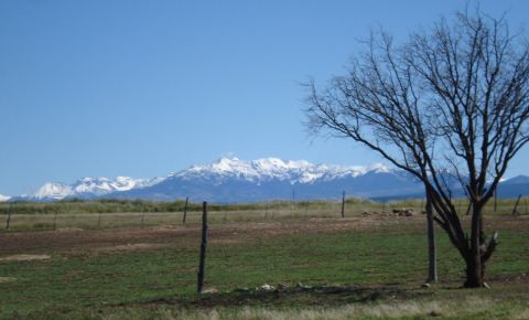 Ranch / Farm $142,000