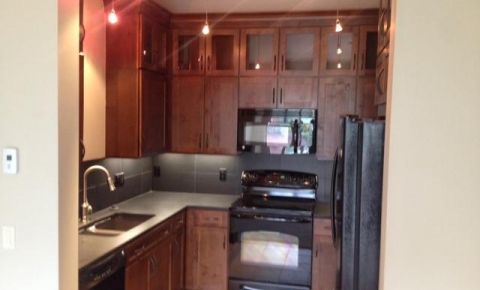 2 bed 2 bath Condo $338,750