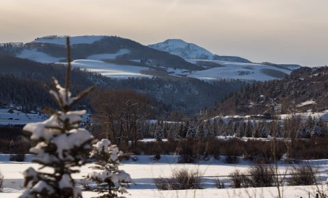 4 bed 3 bath Home $995,000