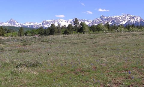 Ranch / Farm $175,000