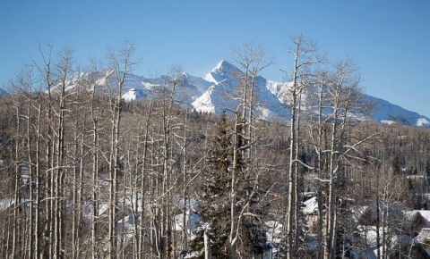 3 bed 4 bath Condo $1,649,000