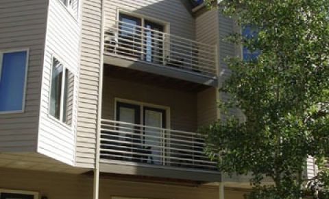 1 bed 1 bath Condo $315,000