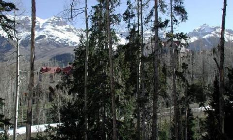 1 bed 1 bath Condo $235,000