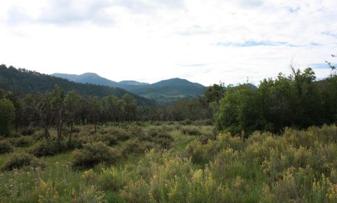 Ranch / Farm $245,000