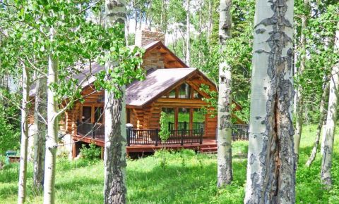 4 bed 3 bath Home $990,000