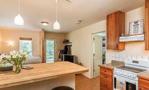 1 bed 1 bath Condo $374,500