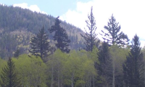 Ranch / Farm $199,900