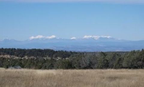 Ranch / Farm $320,000